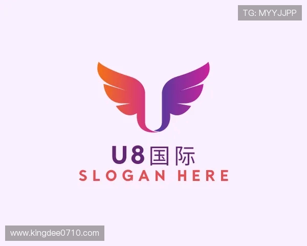 关于U8国际